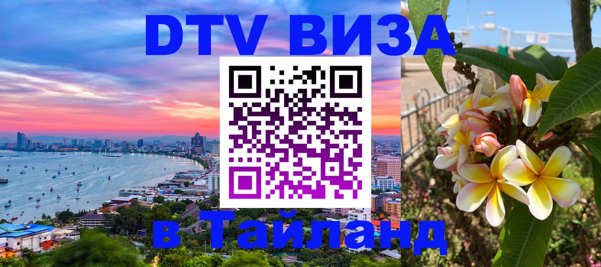 Оформление DTV визы под ключ: стоимость и тарифы, только загранпаспорт - 